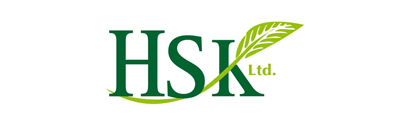 LSK Logo